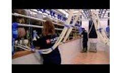 FLACO (High Line Milking Parlour for Sheep) 2x12 Video