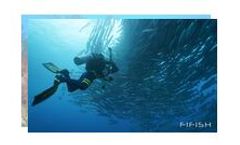 Underwater Robots for Exploration & Research