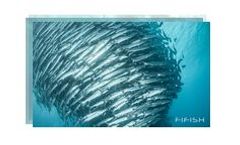 Underwater Robots for Filming & Photography