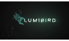LUMIBIRD corporate video