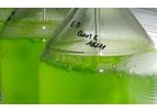 Greensea - Living Phytoplankton Liquid