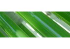 Greensea - Dried Phytoplankton Powder