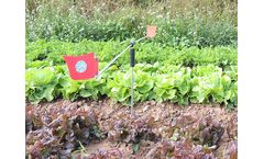 Eolo - Garden Scarecrow