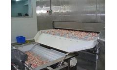 FITZER - Model FI-IQF-500 - IQF - Individual Quick Freezer