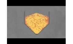 Rainbow Plant Food - How It Works
