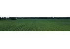 Nutrien - Fertilizer & Nutritionals