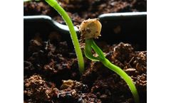 Nutrien - Seed