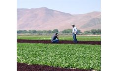 Nutrien - Field Scouting Services