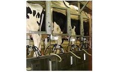 miRobot - Multi-Stall Automatic Robotic Milking System