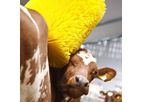 UniBrush - Nylon Cow Brush