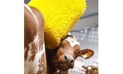 UniBrush - Nylon Cow Brush
