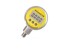XuYan - Model XY-PG560R - Digital Remote Transimission Pressure Gauge