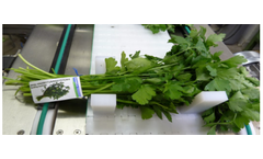 Srotec - Model S-O-3000 - Processing System for Asparagus