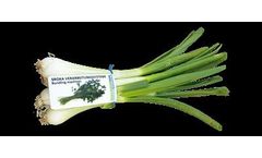 Srotec - Model S-O-3000 - Spring Onion Processing System