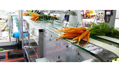 Srotec - Model CwG 2800 - Carrot Bunch Processing System