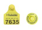 Idology - Model My-EID & My-GVT - RFID Button Ear Tags and Panel Tags