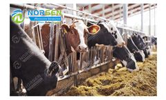 Norsen - Livestock Wastewater Solution