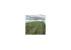 Inline Drip Irrigation System