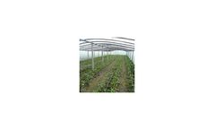 Inline Drip Irrigation System