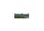 Mixed Organic Waste Biogas Plants