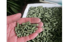 Why Choose Sheep Feed Pellet Machine
