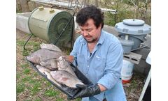 The Response Technical Of Tilapia