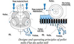 The Material Size Of Biomass Pellet Machine