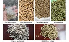 The Requirements Of Feed Processing Machinery In Receiving Raw Materials