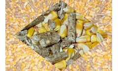 Things You Need To Know About Feed Pellets Raw Material