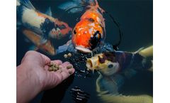 Fish Feed Production Line For Your Choice