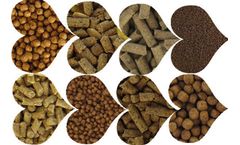 Technical Requirements Of Straw Pellet Machine For Different Materials