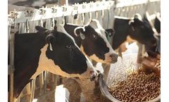 What Is The Role Of Feed Grinder Machine In Feed Processing Machinery