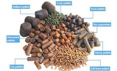 Poultry Feed Pellet Machine Reduces Feed Costs For Farmers