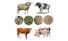How To Ensure The Hardness Of The Pellets During The Straw Pellet Machine Production Process