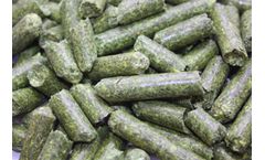 Feed Processing Equipment Accelerates The Development Of The Feed Industry