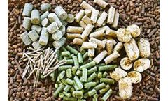 Effects Of Feed Formulation On Pellet Durability In Feed Processing Machinery