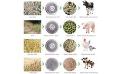 Why Use The Feed Processing Machinery Made Feed Into Pellets