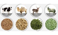 2-3T/H Animal Feed Plant Introduction