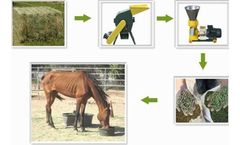 Animal Feed Machine Made Feed Pellets For Horse Farming