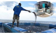 Aquatic Feed Pellet Mill Is The Best Choice for Shrimp Farming
