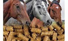 Horse Feed Pellets Analysis