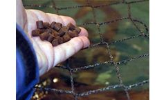 What Are Benefits Of Fish Farming Business?