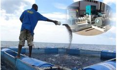 How Much Is Fish Feed Pellet Machine In Nigeria?