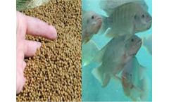 How Do I Start A Small Scale Fish Farm?