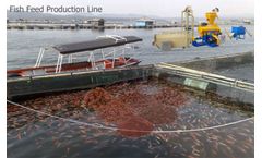 Start A Catfish Farm In Nigeria