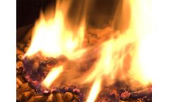 Fusmar - Model Wood Pellet Machine - Biomass Pellet Fuel Biomass Pellet Mill