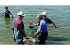 Fusmar - Model Fish Feed Machine - Floating Fish Feed On Aquaculture Fish Feed Extruder