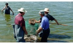 Fusmar - Model Fish Feed Machine - Floating Fish Feed On Aquaculture Fish Feed Extruder