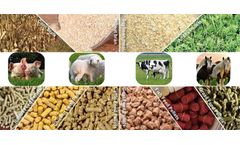 Fusmar - Model Feed Pellet Mill - Poultry Health with Feed Pellets