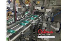 Calmus - Model FIS300C - Carton Packaging Machine for Case Packing Doypack Pouches